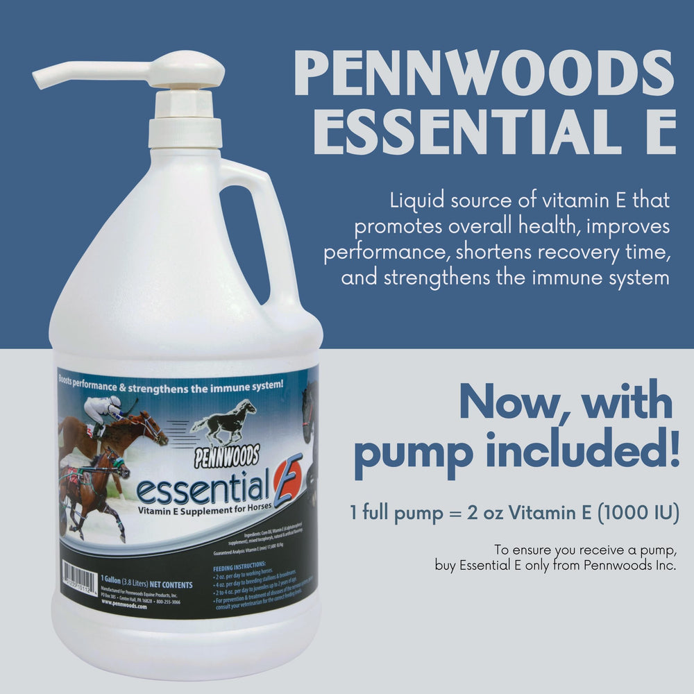 Pennwoods Essential E bottle displayed on a stable shelf for easy access.