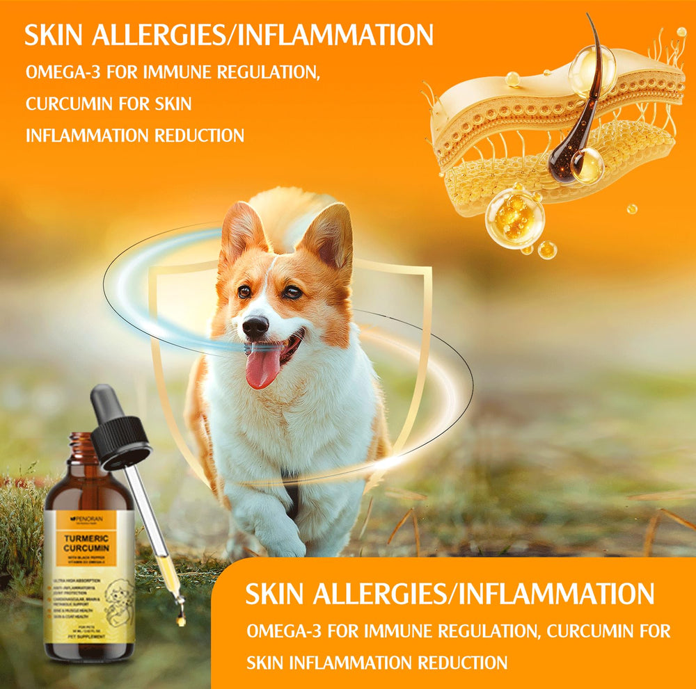 Penoran Dog Turmeric Drops digestive immune may aid digestion and immunity