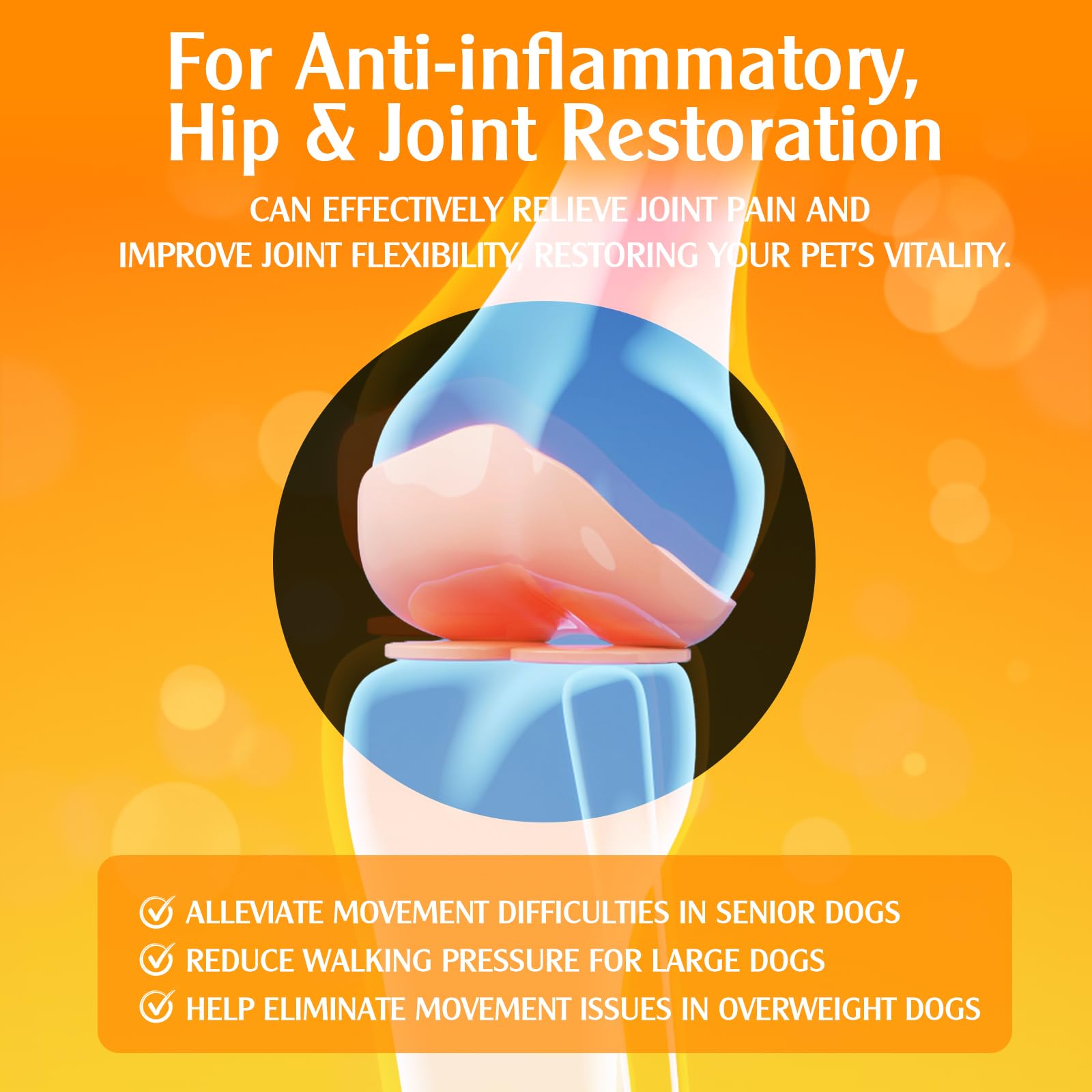 Penoran Dog Turmeric Drops dosage directions for weight-based administration