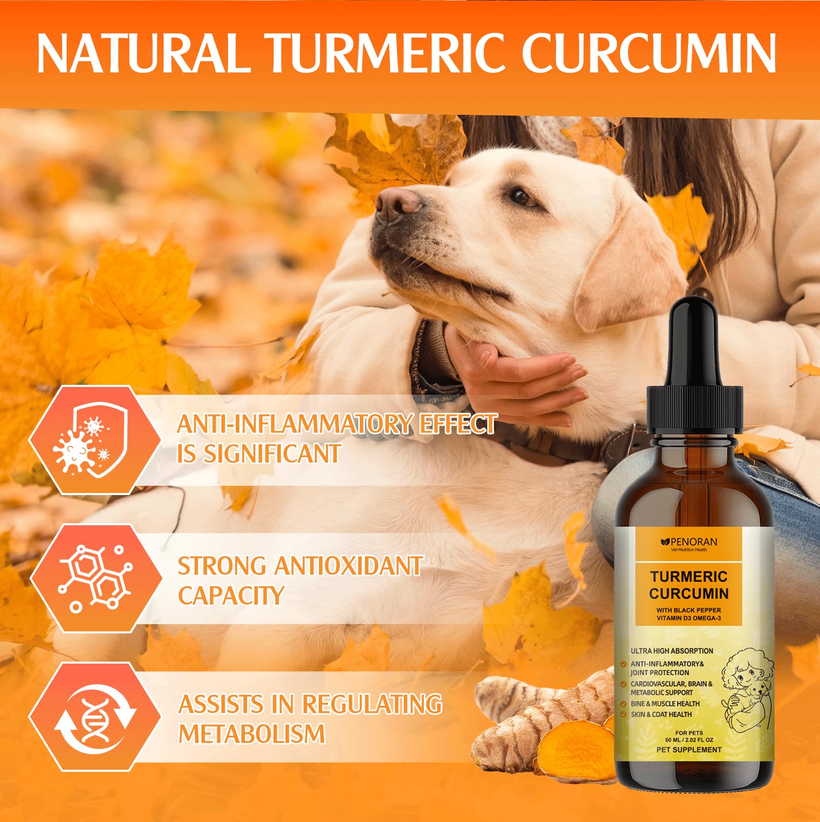 Penoran Dog Turmeric Drops droplet highlights precise dosing for picky eaters