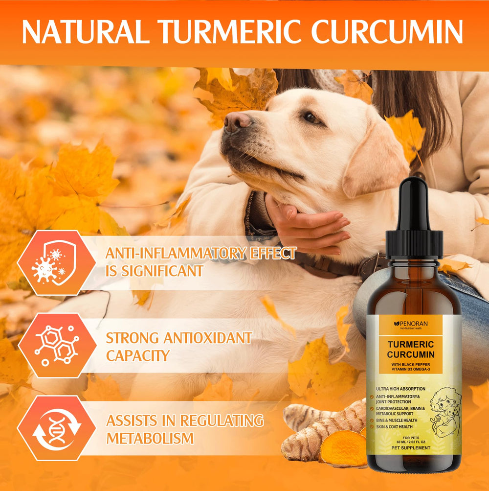 Penoran Dog Turmeric Drops droplet highlights precise dosing for picky eaters