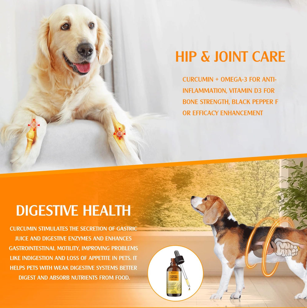 Penoran Dog Turmeric Drops skin coat may promote coat softness and skin health