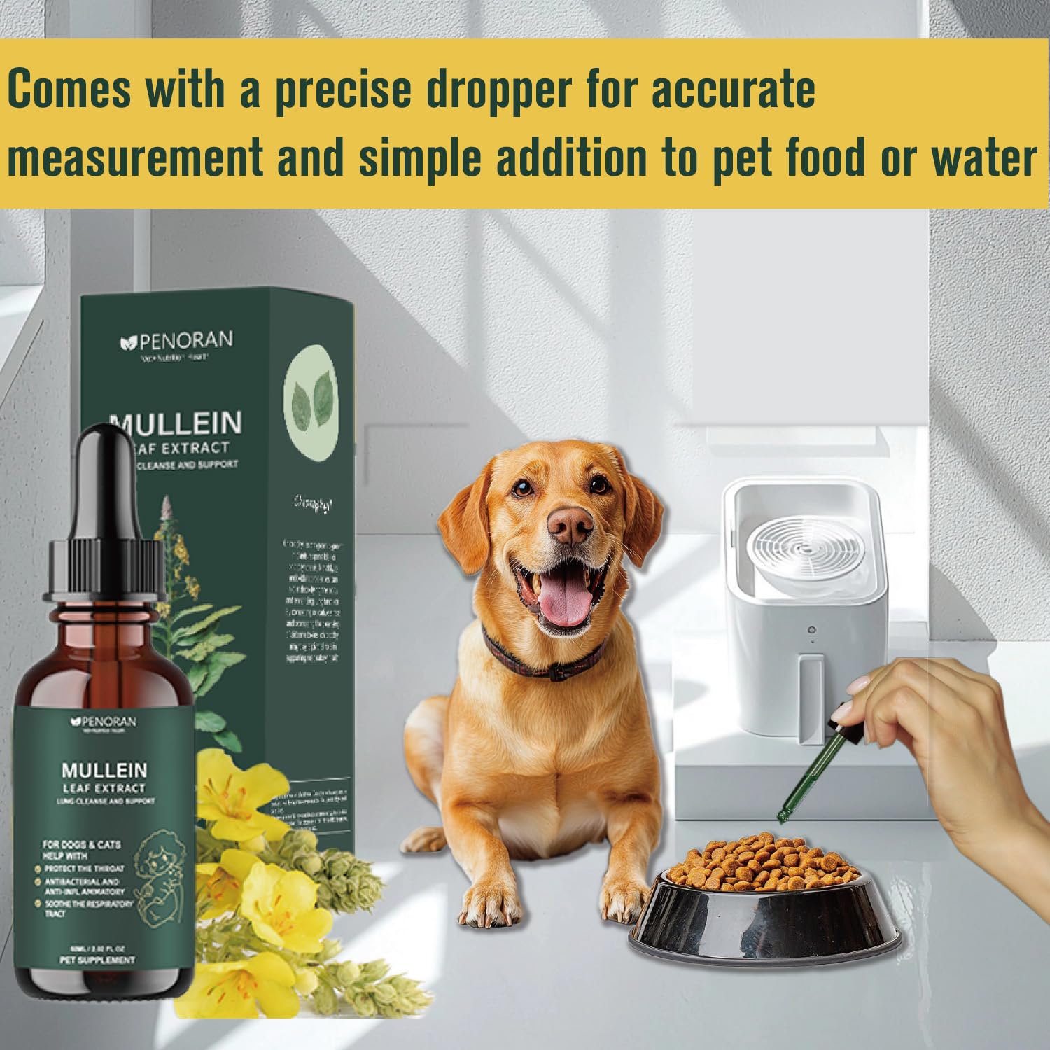 Penoran Mullein Leaf Drops with chlorophyll for natural boost