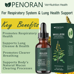 Penoran Pet Mullein Leaf Drops dropper showing precise dosing
