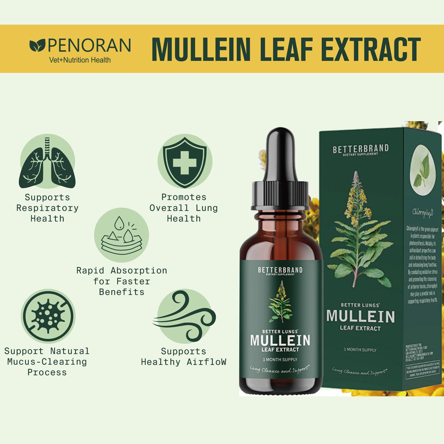 Penoran Pet Mullein Leaf Drops added to food for breathing support