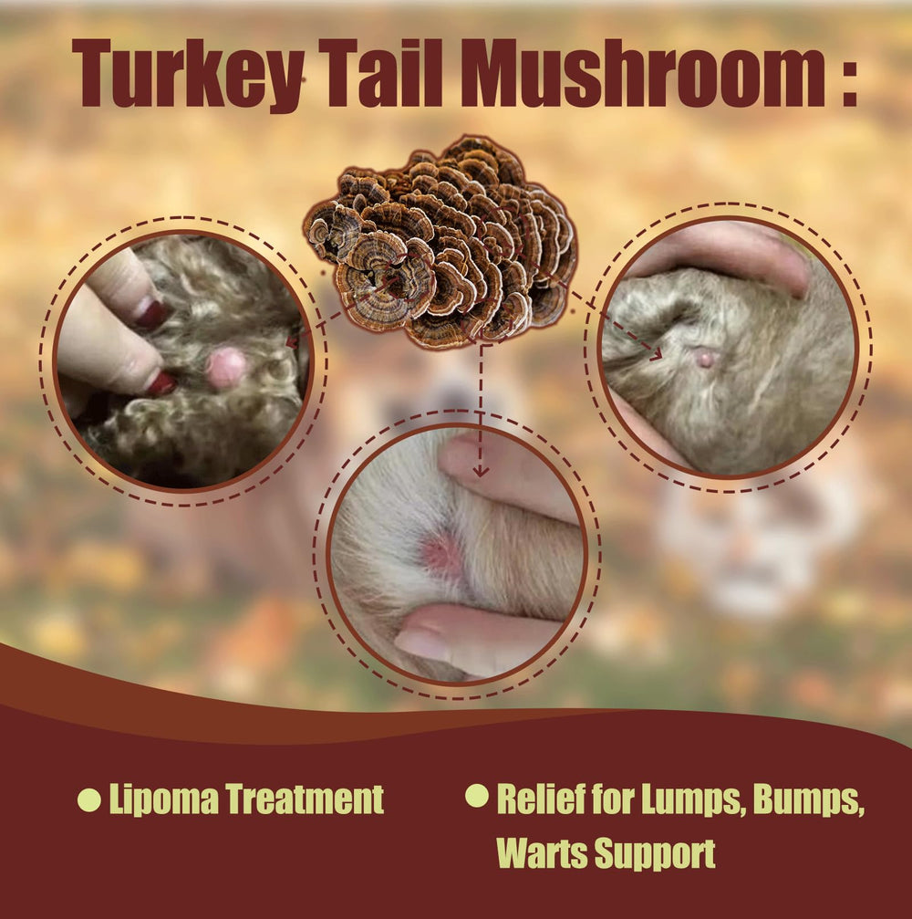 Penoran Turkey Tail Drops added to pet water for easy administration.