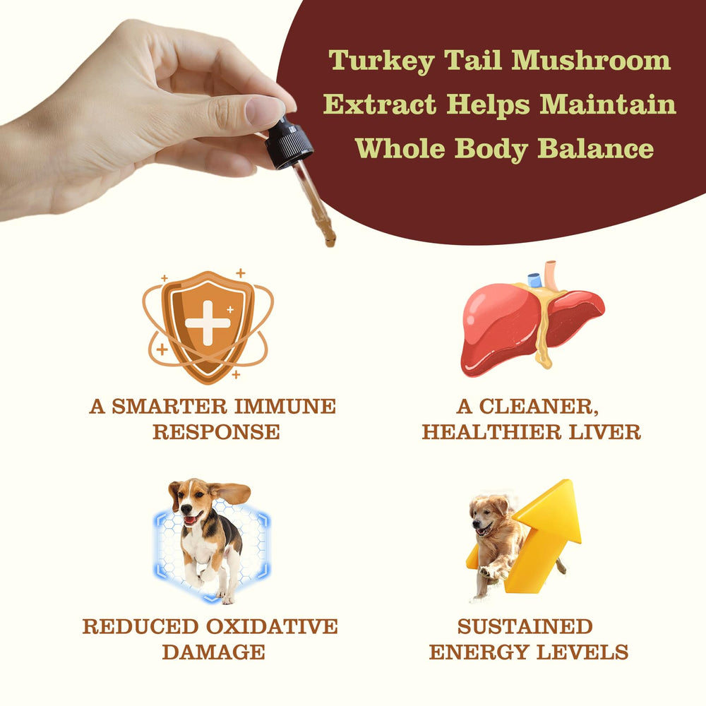 Penoran Turkey Tail Drops label highlighting the three-mushroom formula.