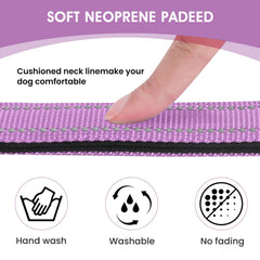 Penseepet adjustable nylon webbing collar highlights customizable fit