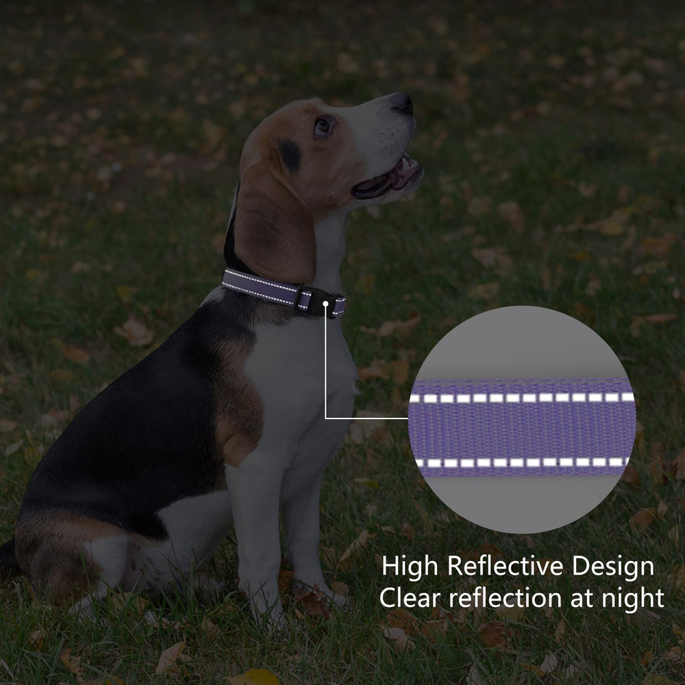 PenSeepet anti-rust D-rings protect hardware during playful moments.