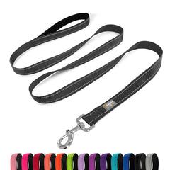 PenSeepet dog leash 6 ft padded handle black for comfortable daily walks.
