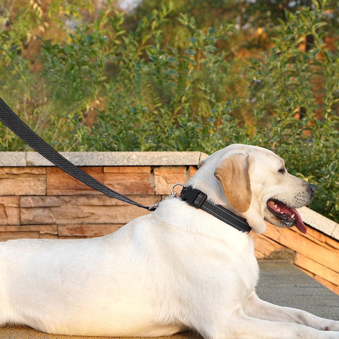 PenSeepet reflective night-walk leash improves evening visibility.