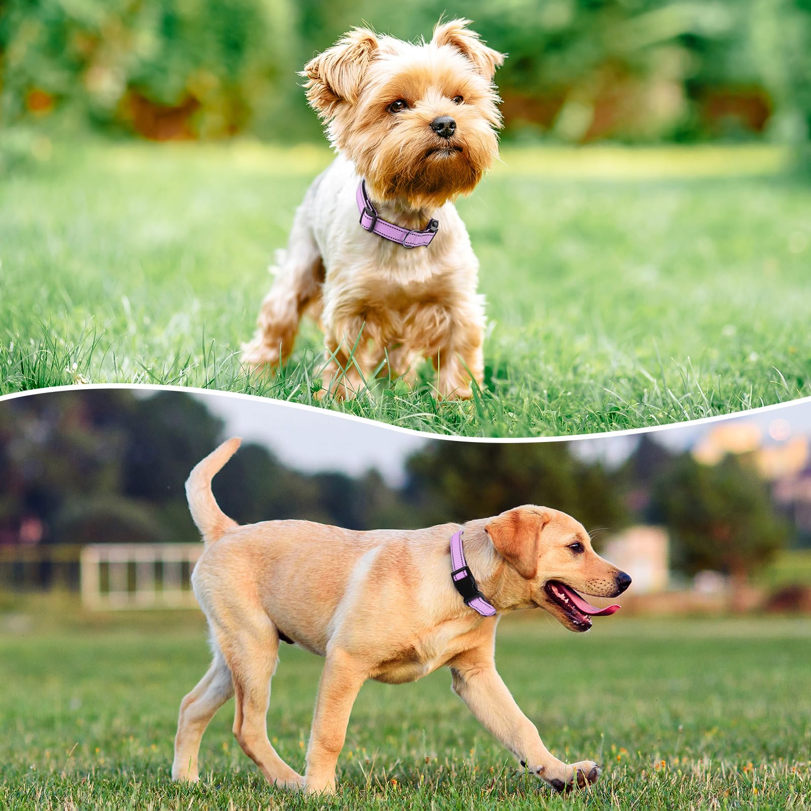 Penseepet neoprene-padded inner closeup reduces skin irritation during extended wear