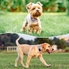 Penseepet neoprene-padded inner closeup reduces skin irritation during extended wear