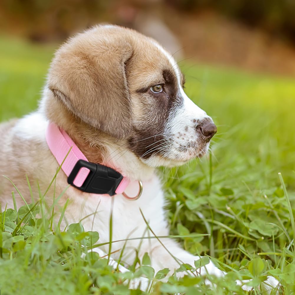 Penseepet pink collar with breathable nylon for all-day wear in hot weather.
