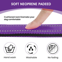 PenSeepet quick-release buckle collar for easy on-off during walks.