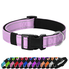 Penseepet reflective dog collar lavender for nighttime visibility during walks