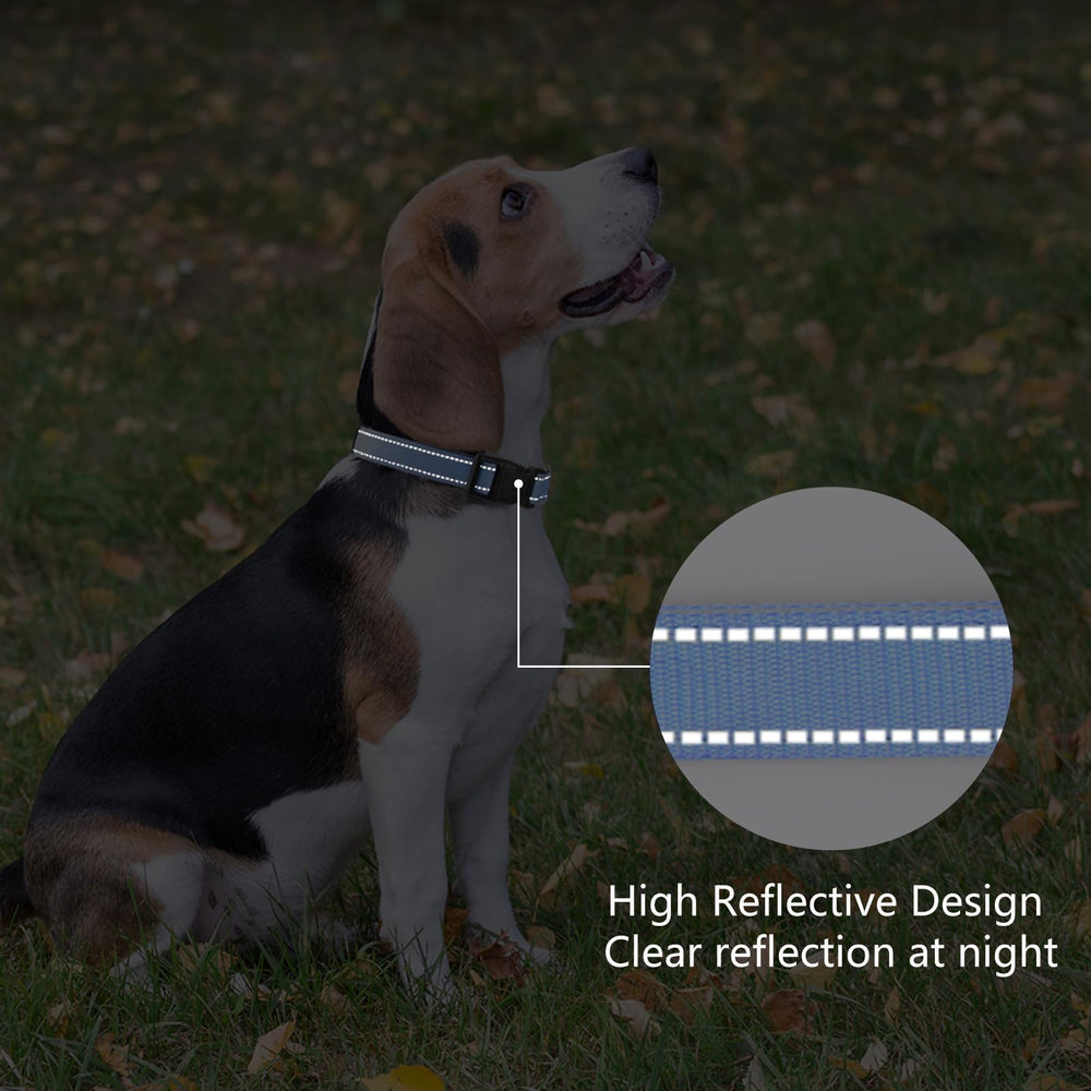 penseepet reflective collar at night for safer evening strolls