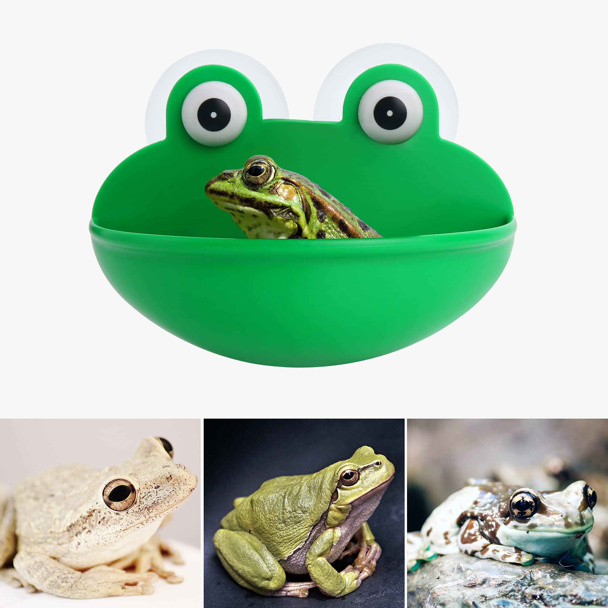 Pensino frog habitat drain-holes show easy water flow and quick cleaning.