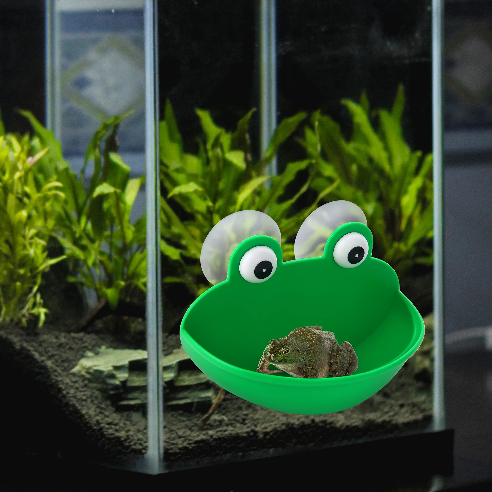 Pensino frog habitat easy-attach on smooth surfaces without tools.