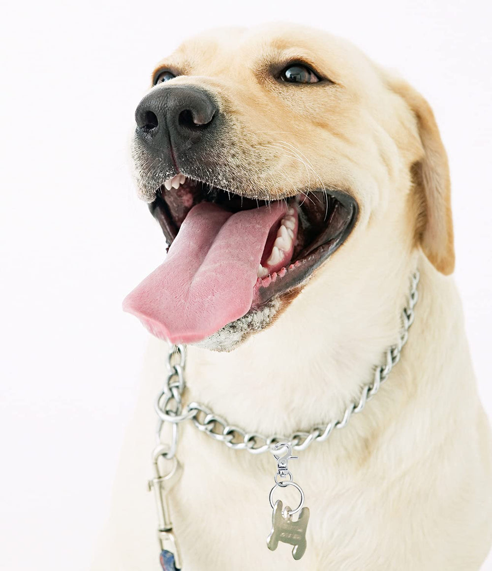 PENTA ANGEL key rings closeup highlighting sturdy 25 mm diameter rings