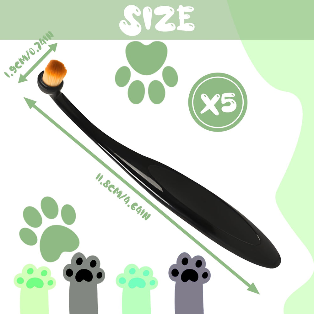 PENUIO five-brush set keeps grooming routines organized at home or travel.