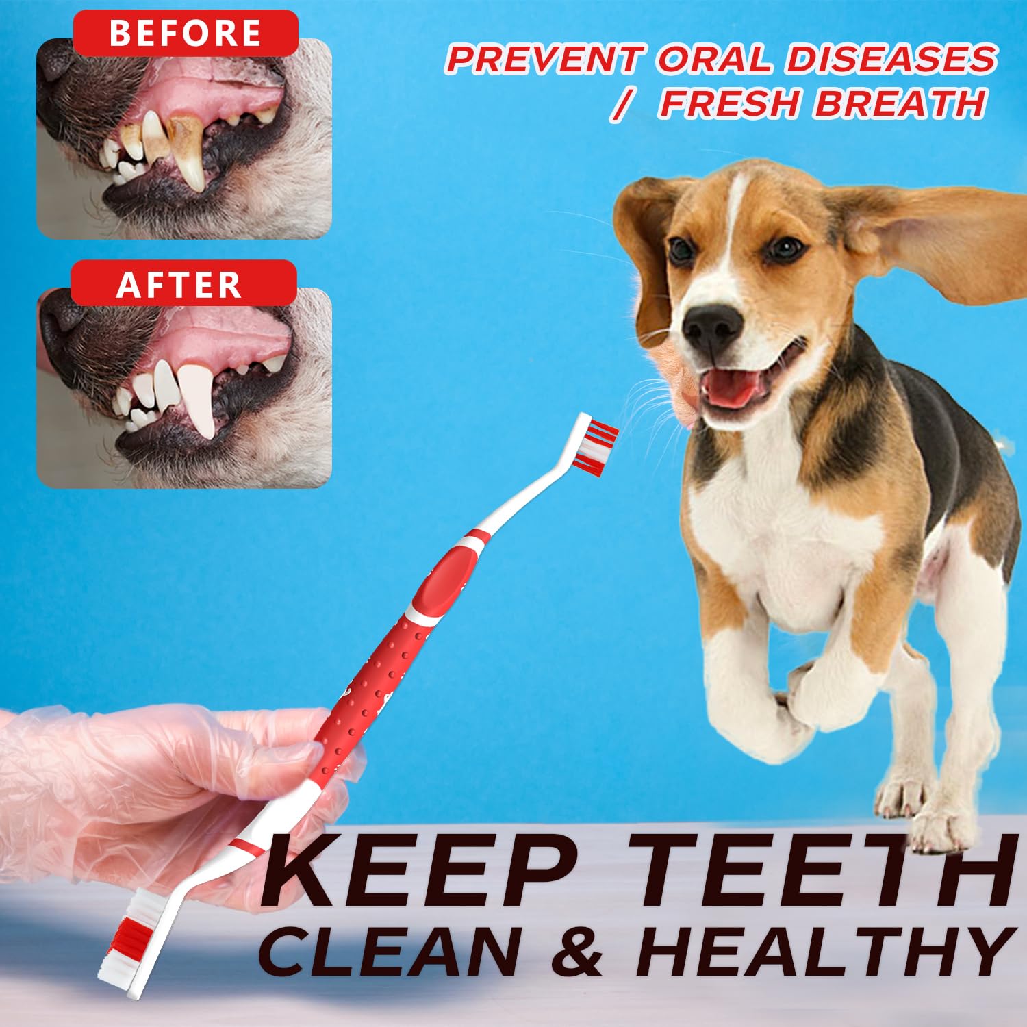 PenVinoo dog toothbrush suitable for all dog sizes and breeds.
