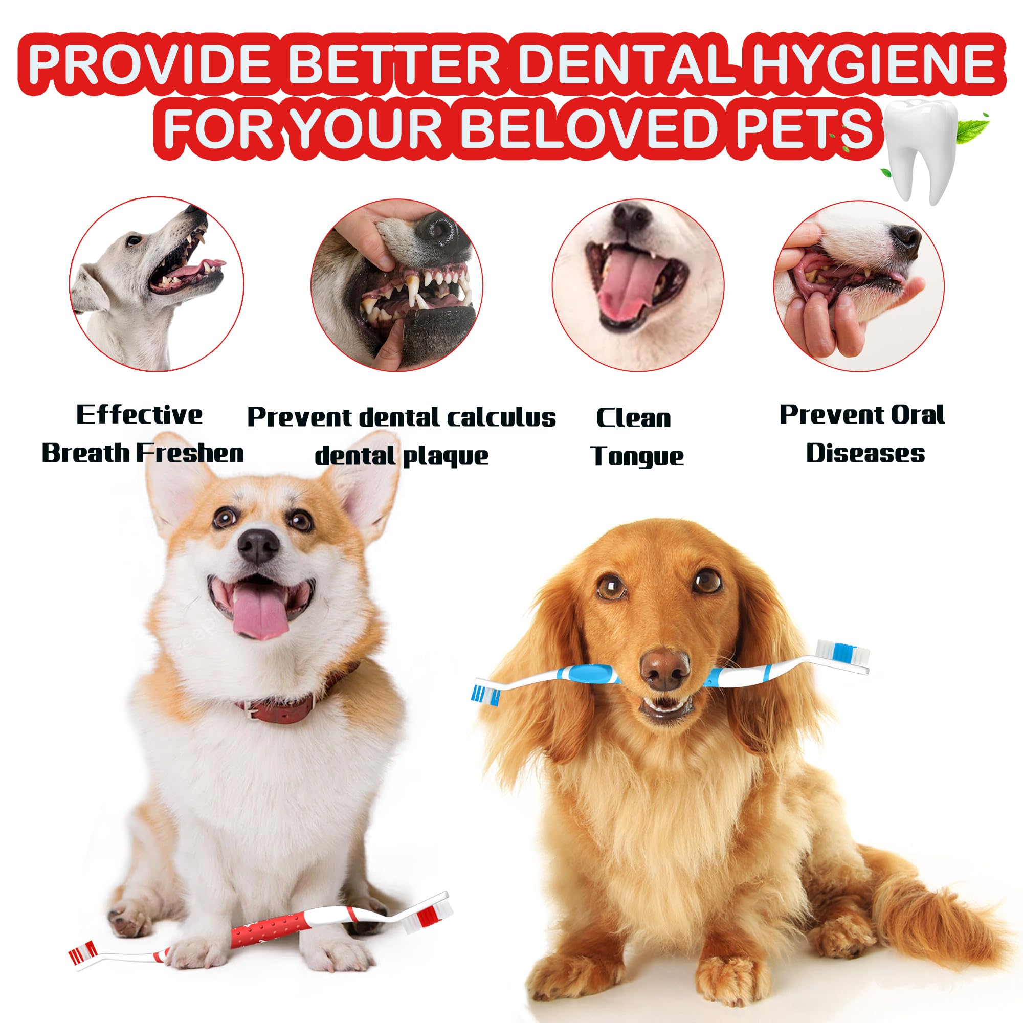 PenVinoo dog toothbrush set packaging shows eight dual-head and four finger brushes.