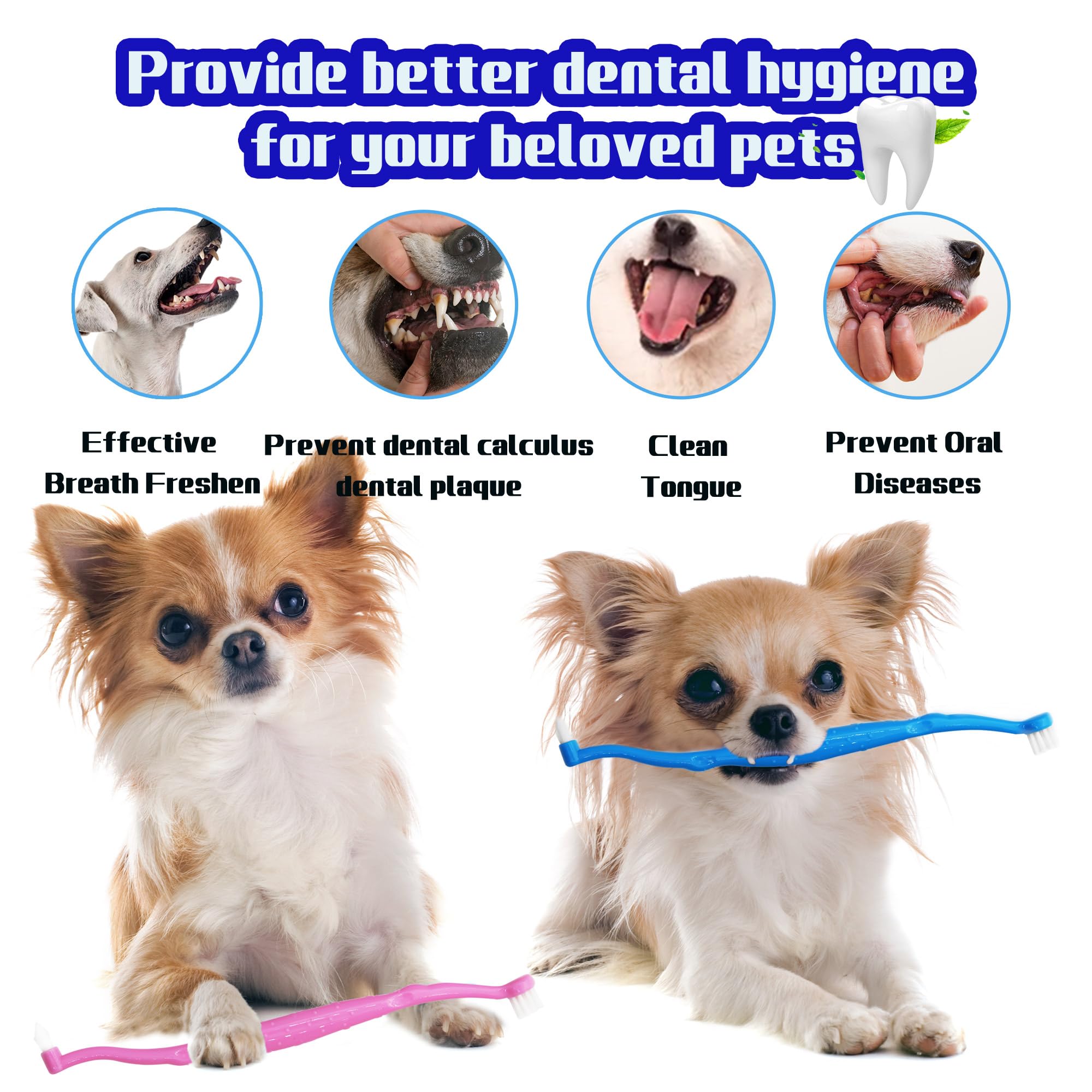 PenVinoo durable materials ensure long-lasting pet dental care tools.