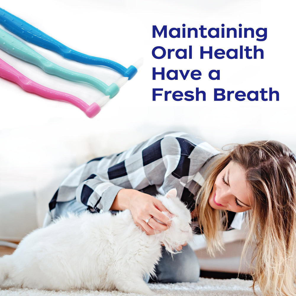 PenVinoo soft bristles gentle on pet gums during brushing sessions.