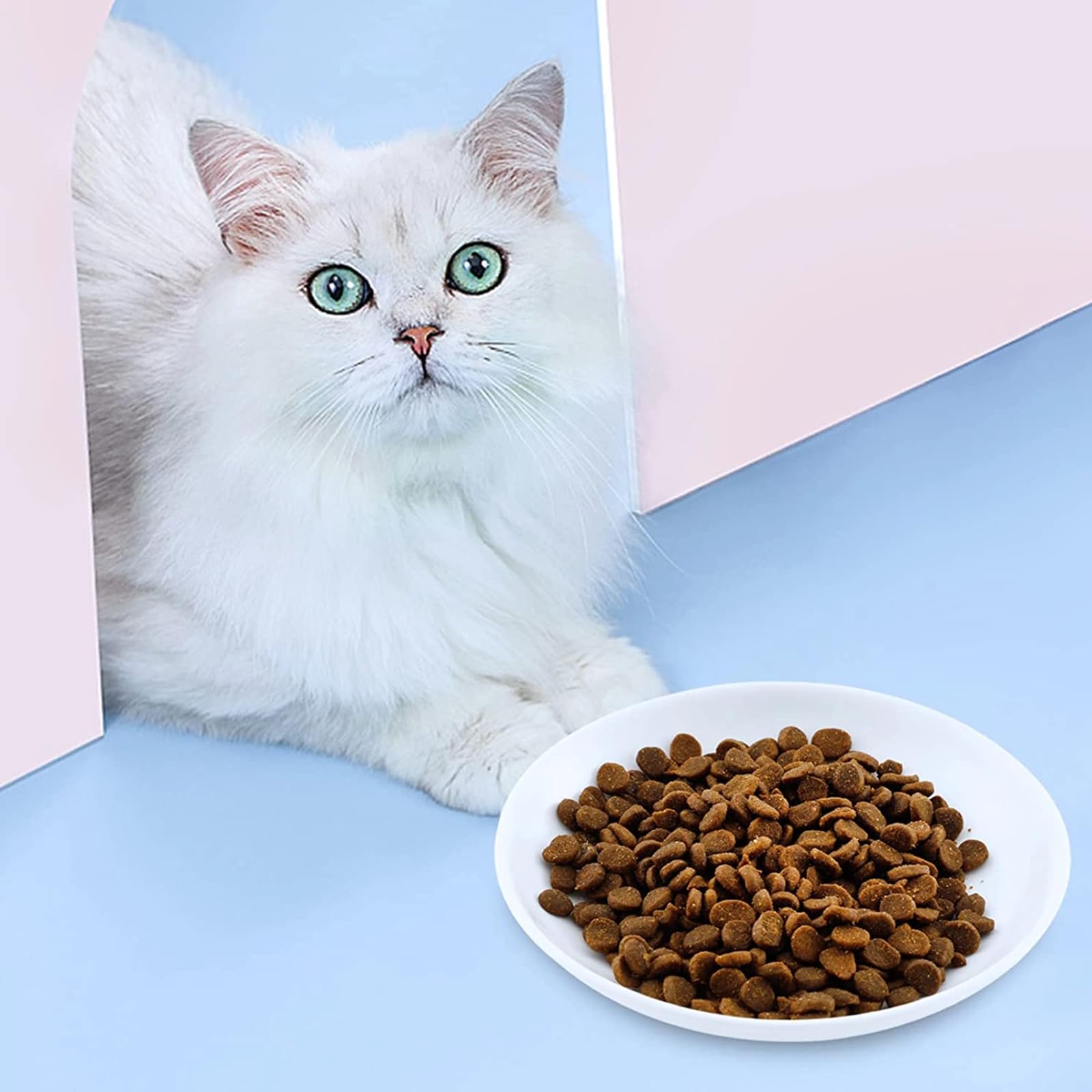 Peppapet fishbone design bowls add stylish decor to homes