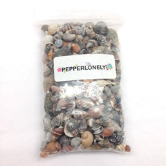 PEPPERLONELY Indian Ocean shells detail 4-sizes for resin art and mosaics.