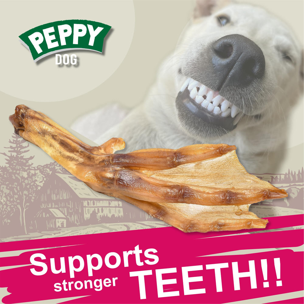 Peppy Dog joint health benefits image highlights glucosamine and chondroitin support