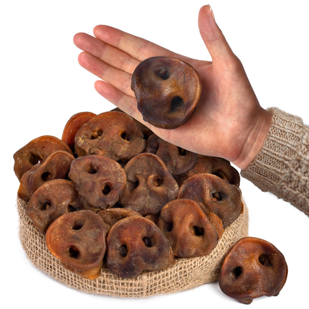 PEPPY DOG pig snouts 20 pcs pack for long-lasting protein chew.