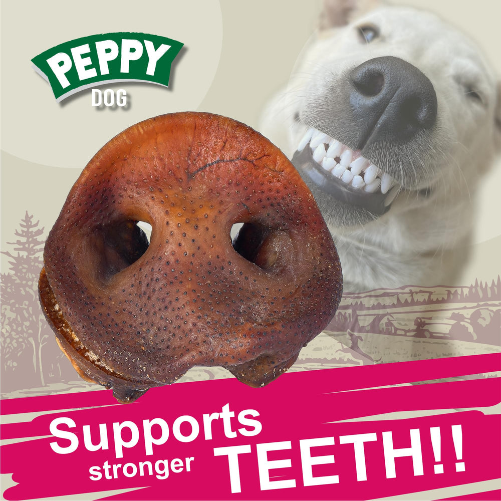 PEPPY DOG pig snouts dog chew session emphasizes engagement and flavor.