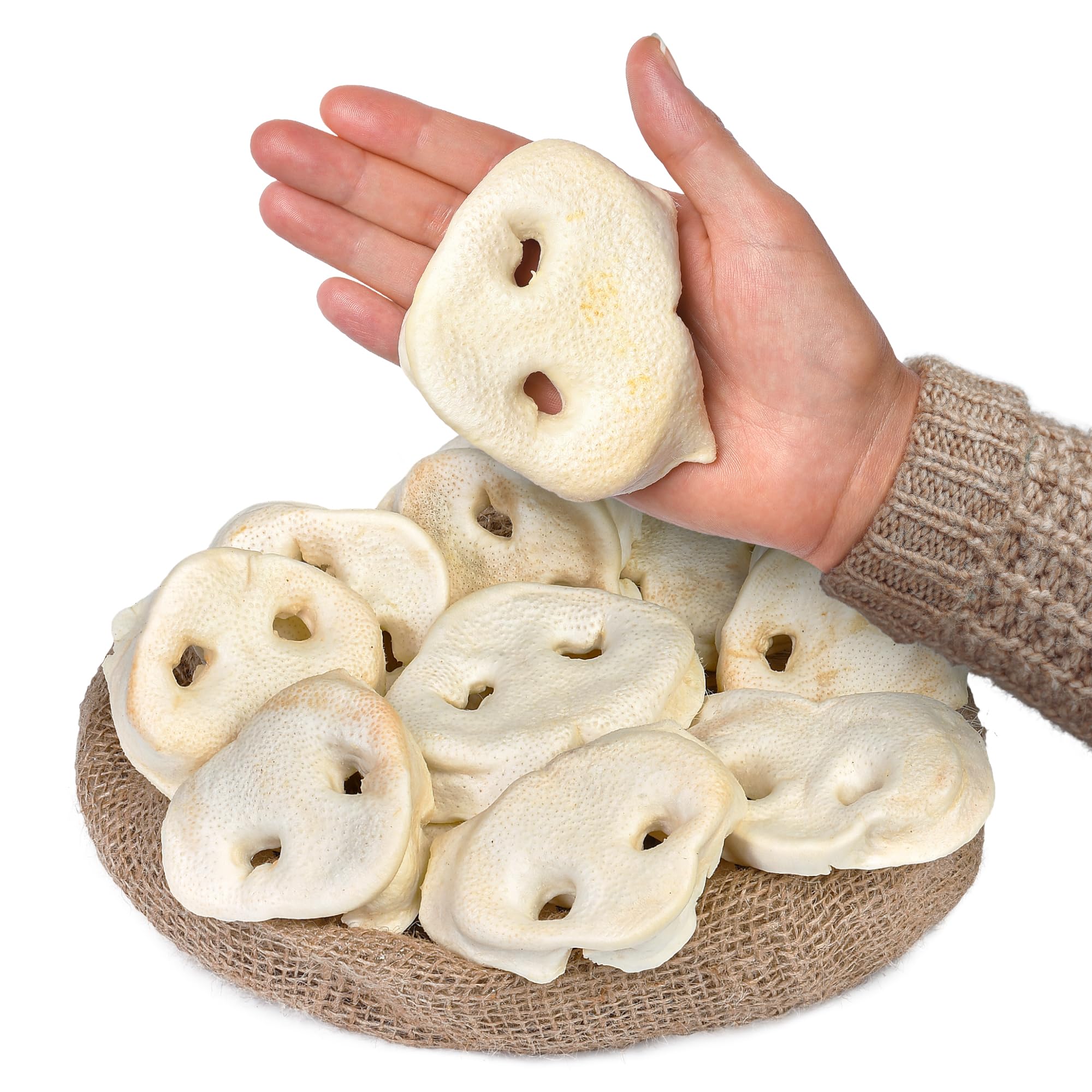 Peppy Dog White Pig Snouts 10pcs pack for long-lasting chewing