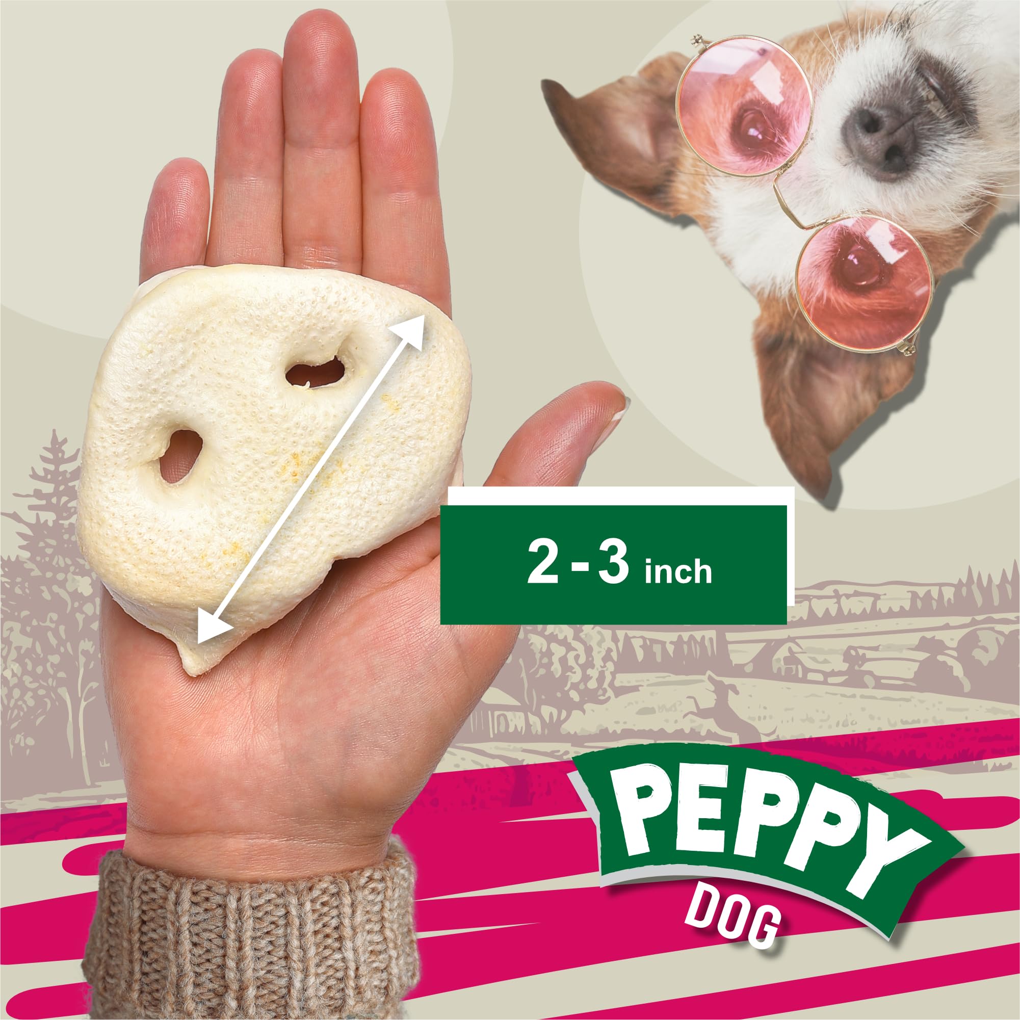 Peppy Dog White Pig Snouts texture closeup showing natural chew action for dental care