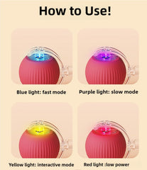 Peppy Pet Snappy Tail Cat Toy fast slow modes for versatile play sessions