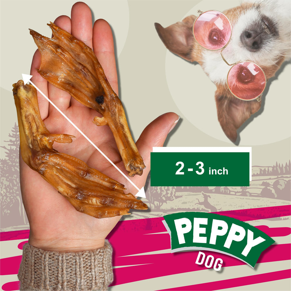 peppydog duck feet dehydrated texture closeup showing retained flavor