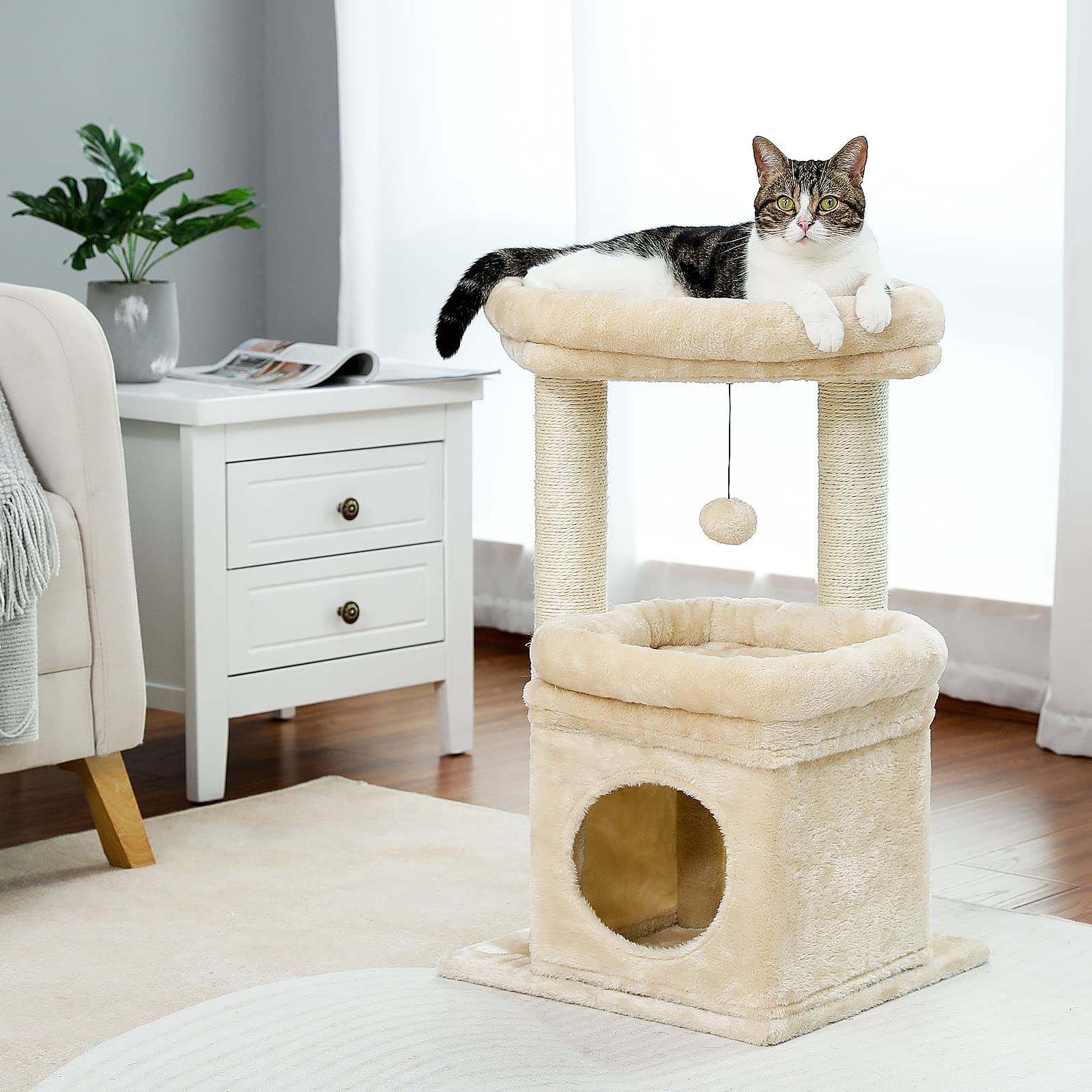 PEQULTI cat tree kittens on top perch enjoy view