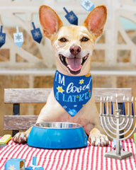 Percozzi Hanukkah pattern closeup highlights vivid colors and playful motifs.