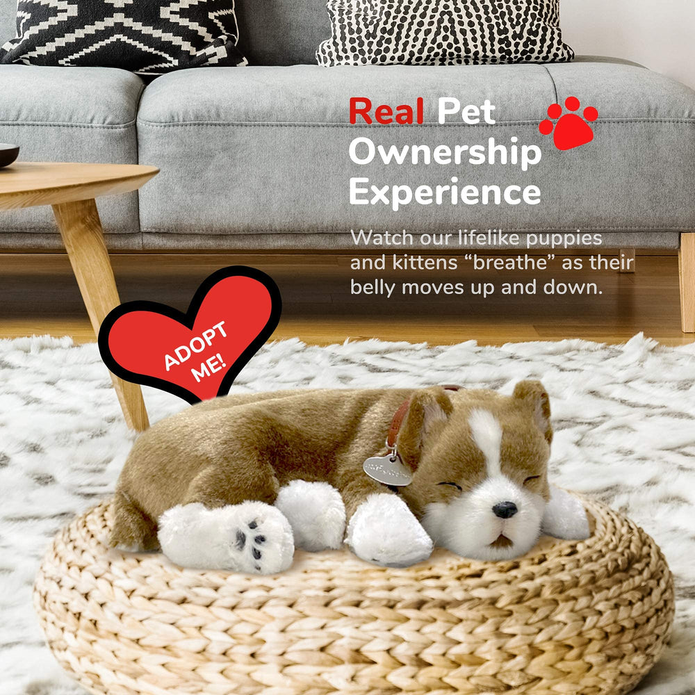 Perfect Petzzz pit bull no-shedding design ideal for shared living spaces.