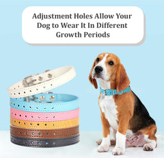 Periflowin adjustable puppy collar demonstrates growth from 6 to 13 inches