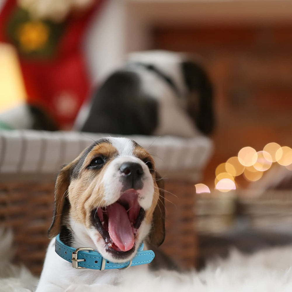 Periflowin cat friendly puppy collar designed for comfortable fit