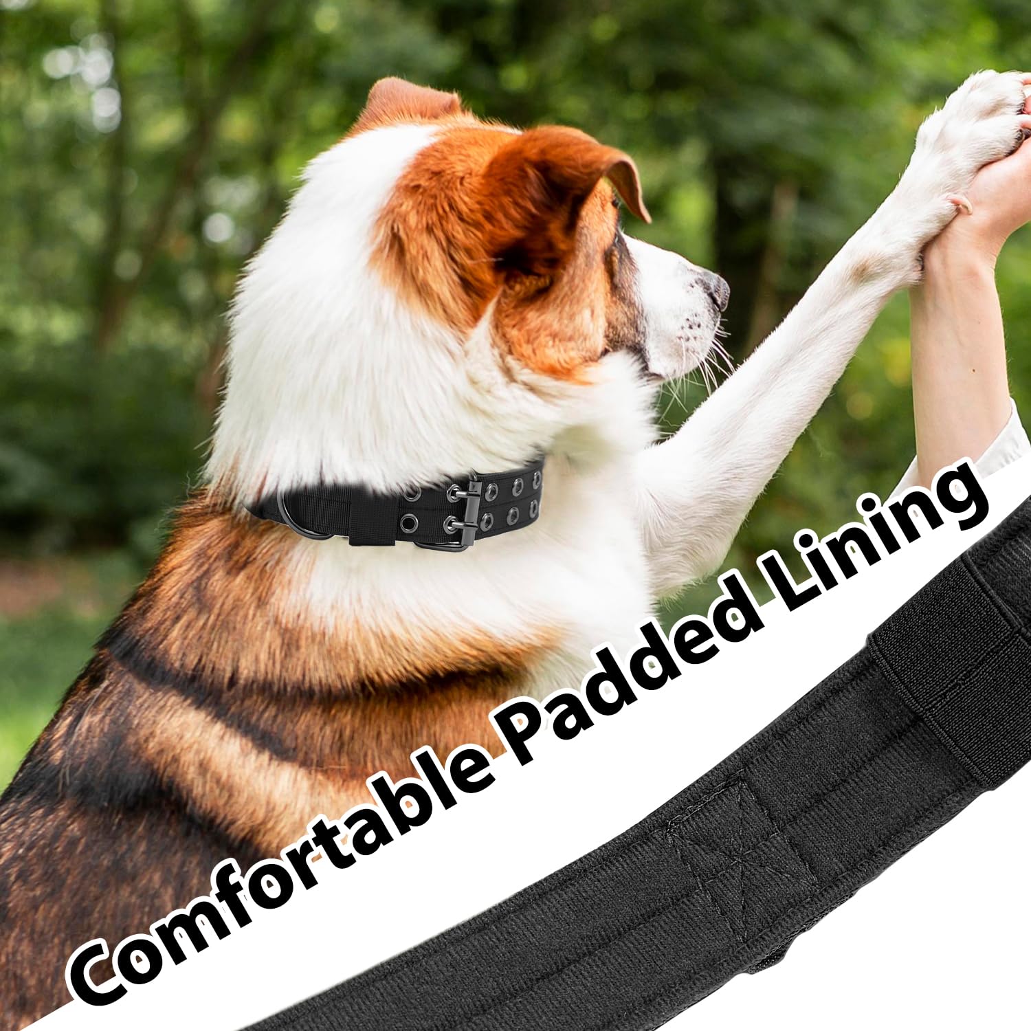 Periflowin heavy-duty D-ring collar supports secure leash attachment