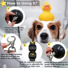 Periflowin grooming tether stabilizes dog's head for precise brushing.