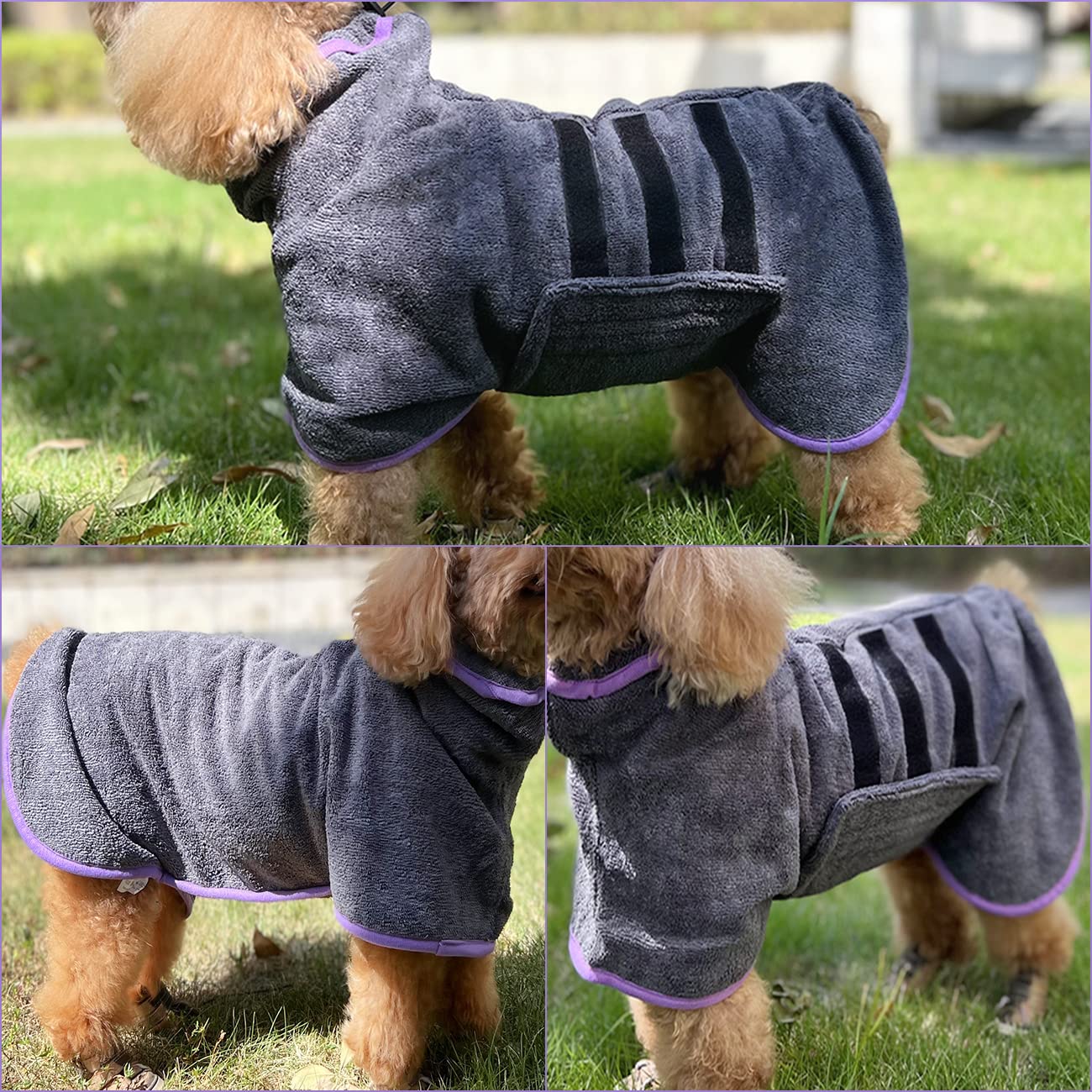Periflowin dog-wet-dog-after-rain-use for moisture control