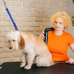 Periflowin grooming loops no-sit haunch holder demonstrates standing support during grooming.