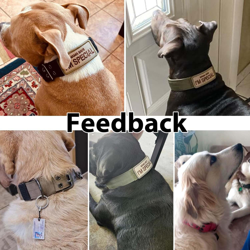 Periflowin tactical collar suitable for training and daily walks