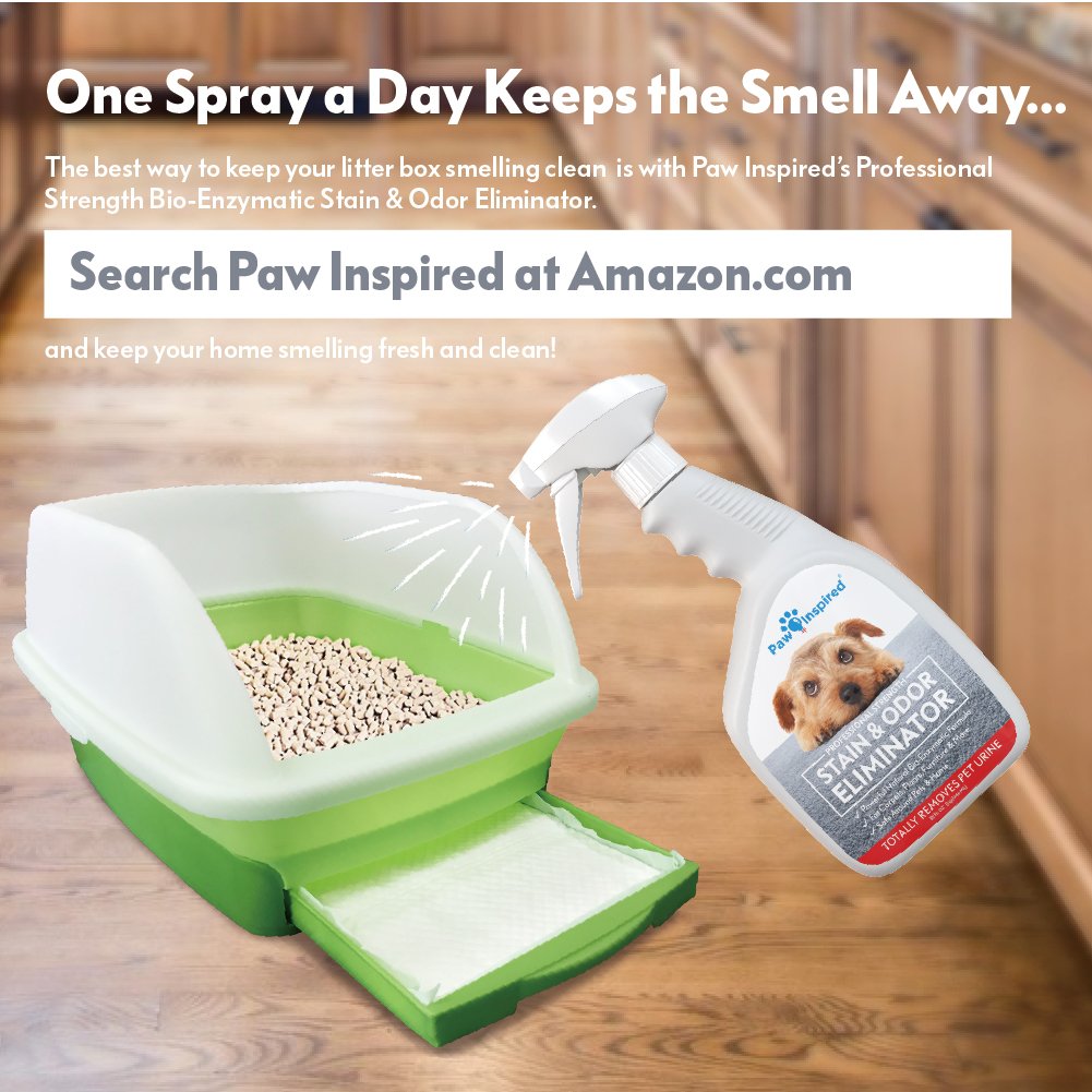 Peritas Paw-Inspired Cat Pads in Breeze box for easy cleaning