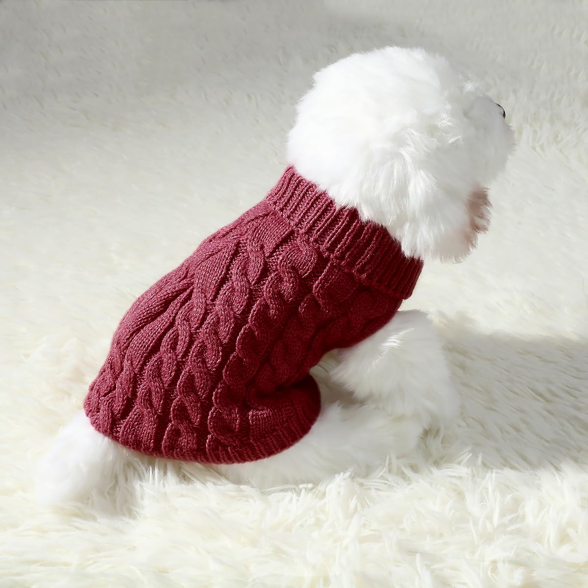 Persoshow dog knit sweater family photo conveys charming party-ready look